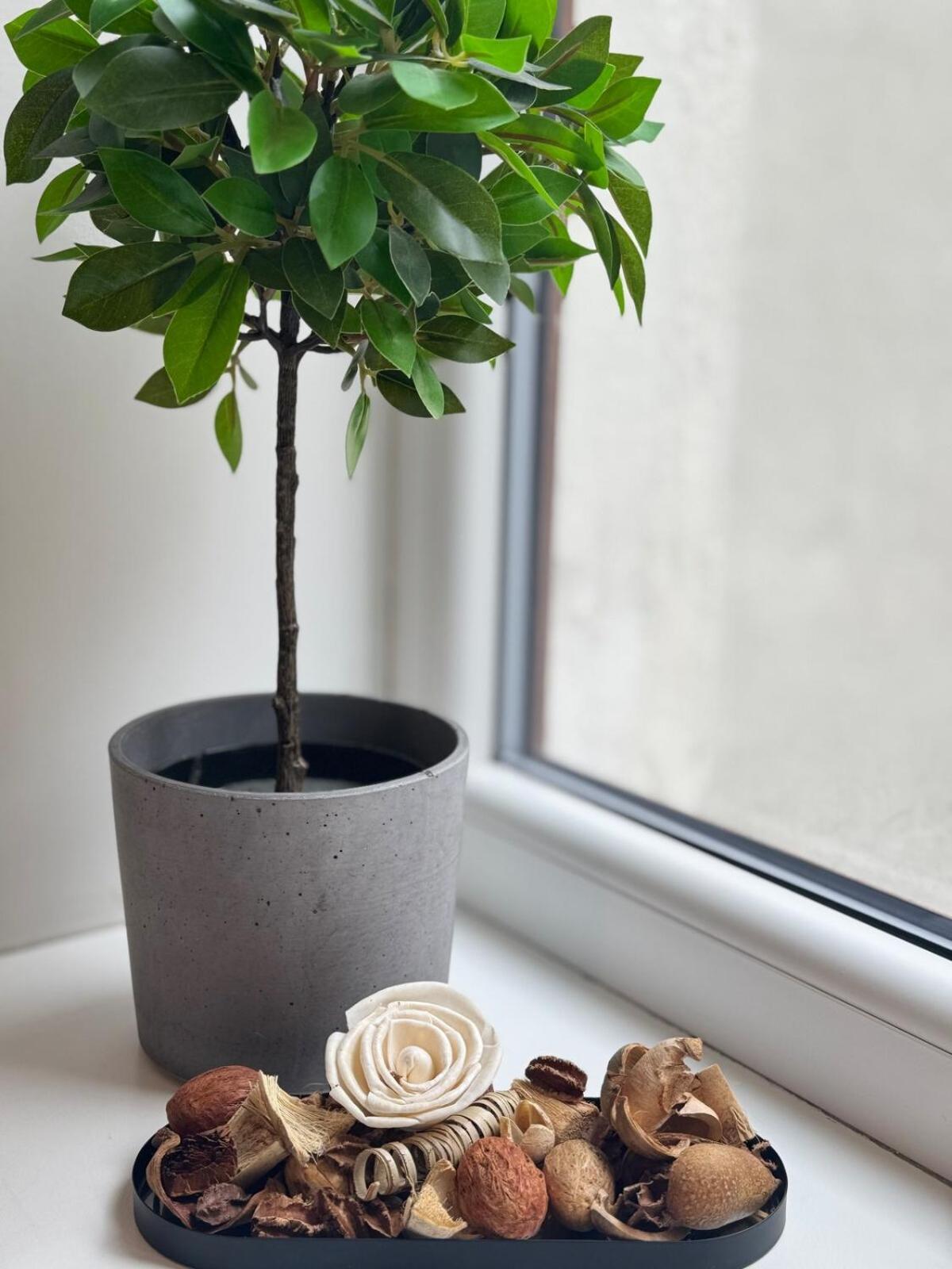Courtyard Kalnina Apartment ريغا المظهر الخارجي الصورة